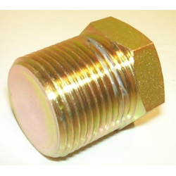 1'' BSP T BLANKING PLUG